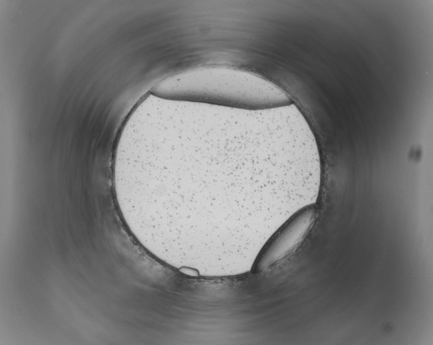 X0000110960948200907311103