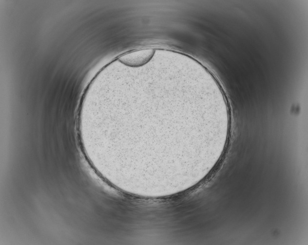 X0000110960949200907311103