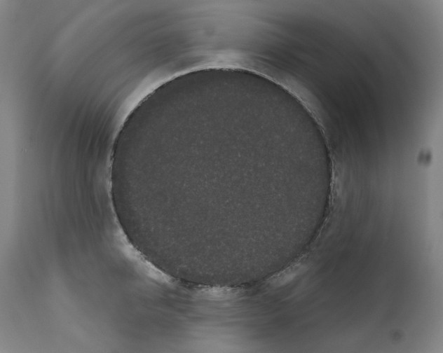 X0000110960950200907311103