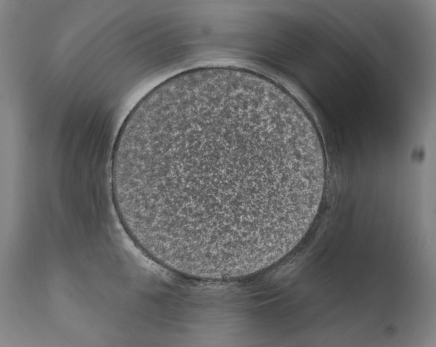 X0000110960951200907311103