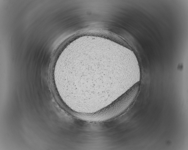 X0000110960952200907311103