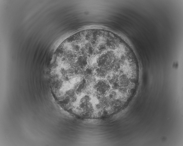 X0000110960953200907311103