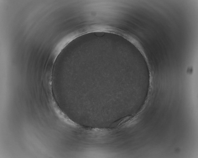 X0000110960954200907311103