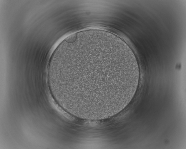 X0000110960955200907311103