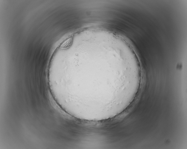 X0000110960957200907311103