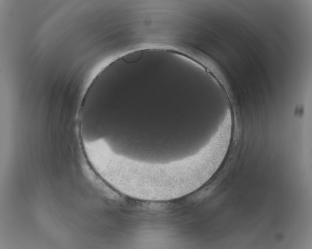 X0000110960958200907311103