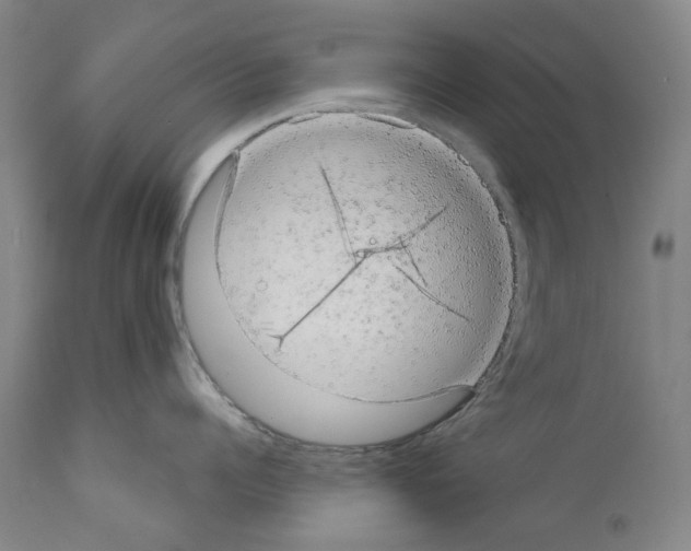 X0000110960960200907311103