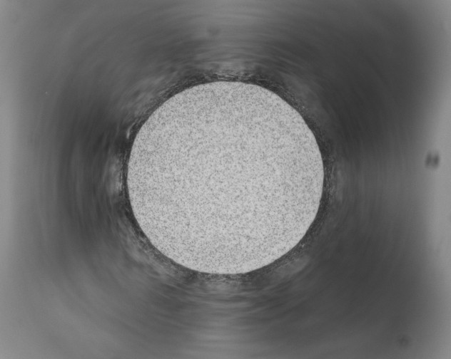 X0000110960962200907311102