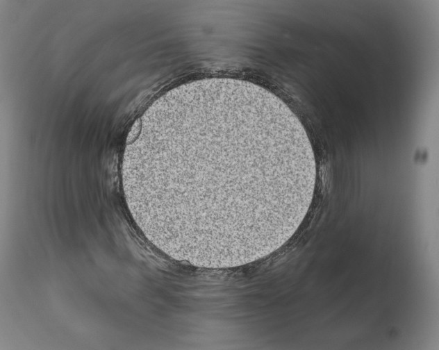 X0000110960963200907311102