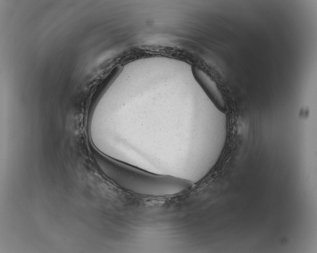 X0000110960965200907311102
