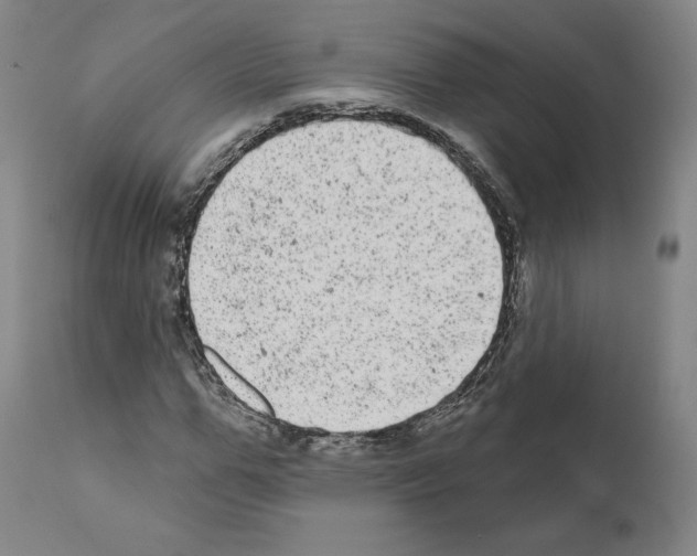 X0000110960967200907311102