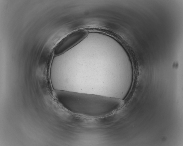 X0000110960969200907311102