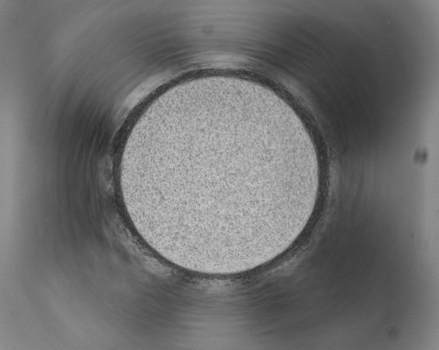 X0000110960970200907311102