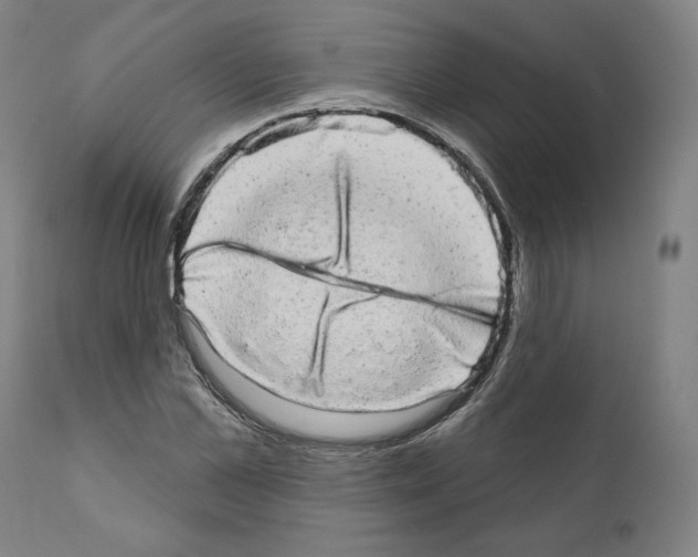 X0000110960973200907311102