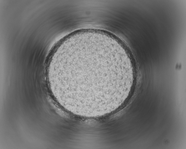 X0000110960974200907311102