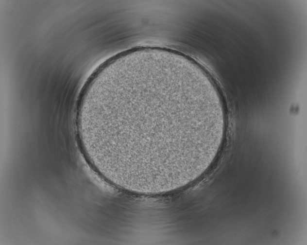 X0000110960976200907311102