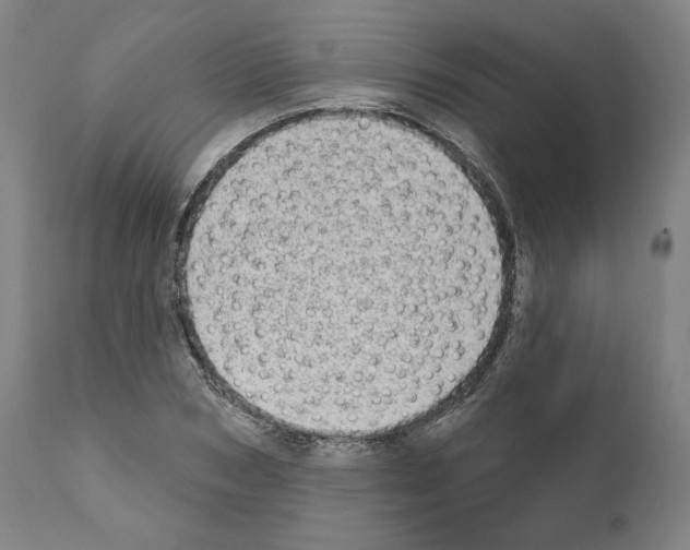 X0000110960978200907311102