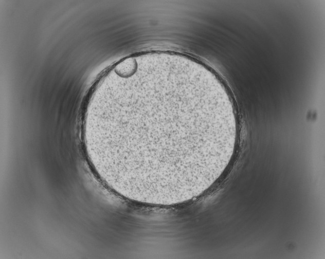 X0000110960979200907311102