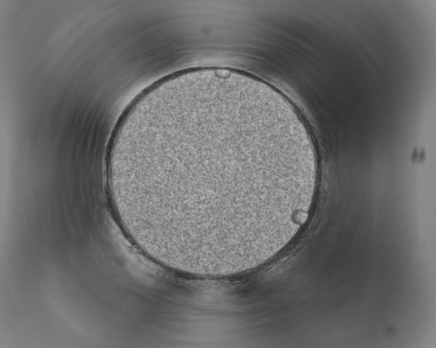 X0000110960980200907311102
