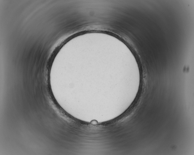 X0000110960981200907311102