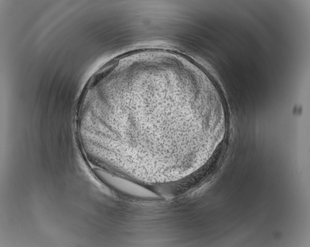 X0000110960989200907311102
