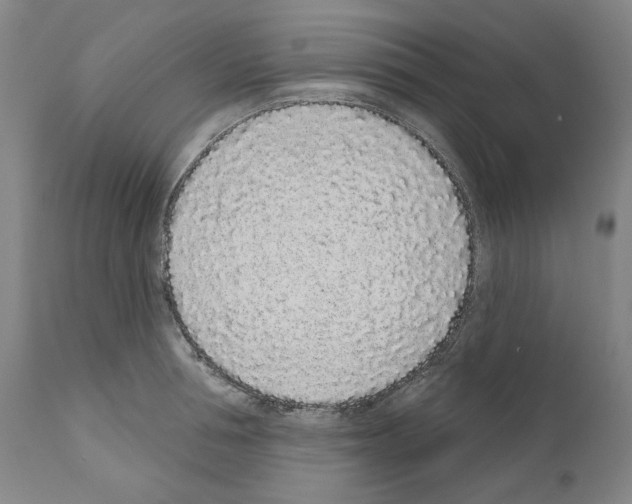 X0000110960994200907311102