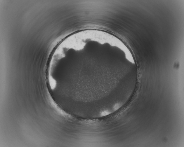 X0000110960995200907311102