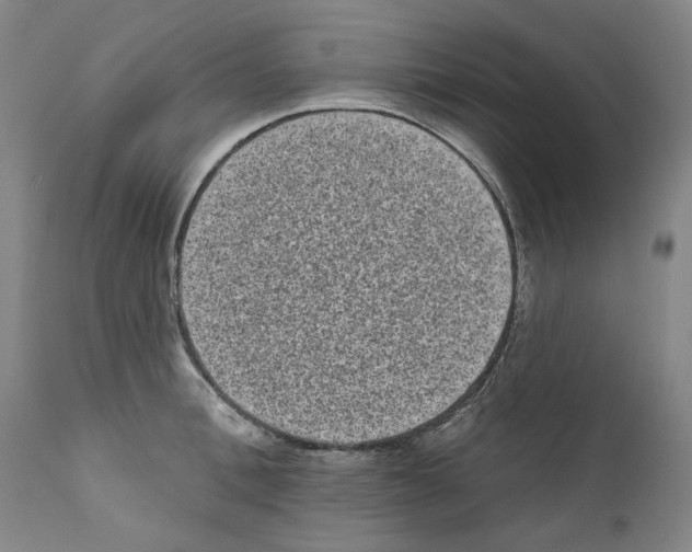 X0000110960996200907311102