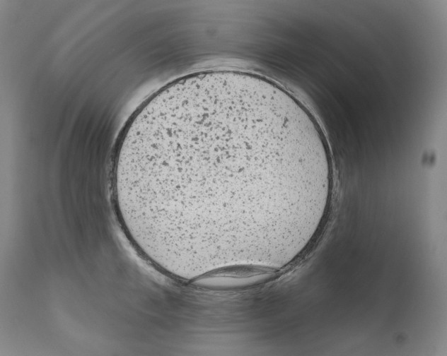 X0000110960997200907311102