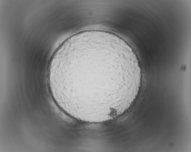 X0000110960998200907311102