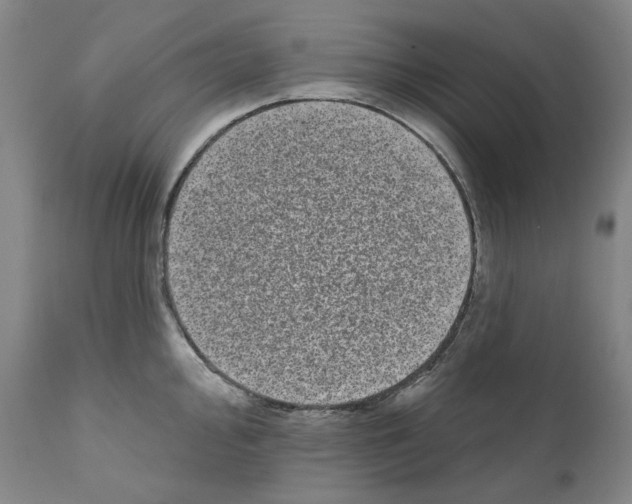 X0000110961000200907311102