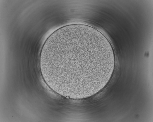 X0000110961004200907311102