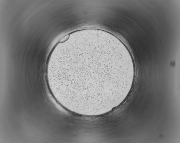 X0000110961005200907311102