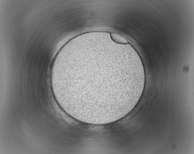 X0000110961006200907311102