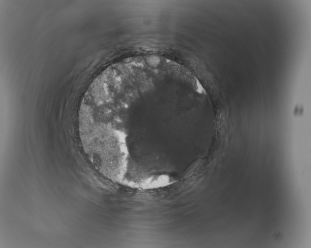 X0000110961009200907311101