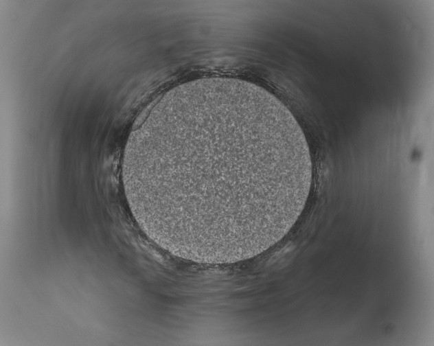 X0000110961010200907311101