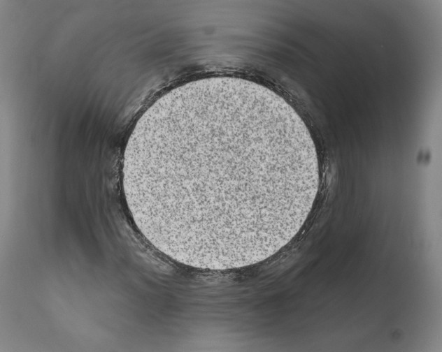 X0000110961012200907311101