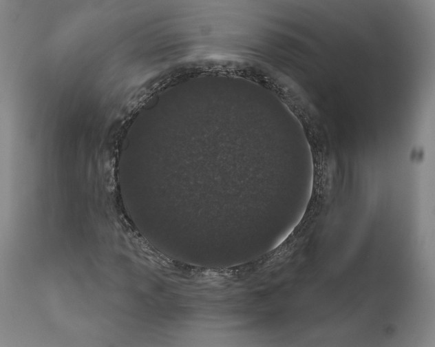 X0000110961013200907311101