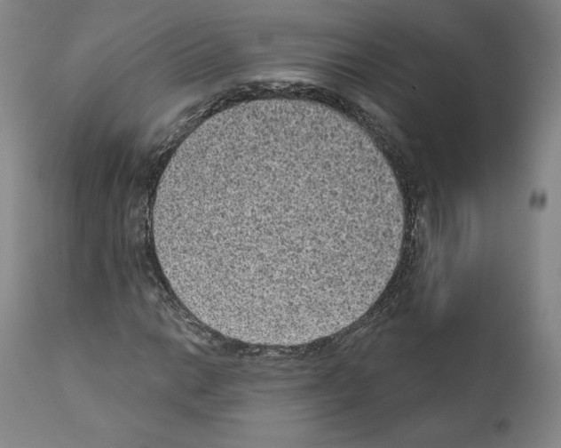 X0000110961014200907311101