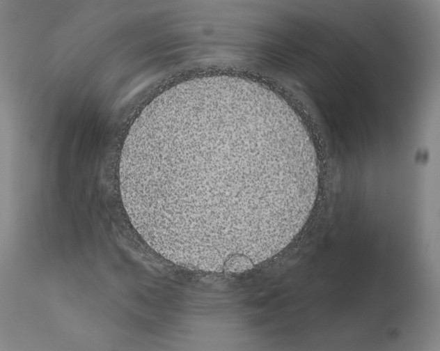 X0000110961015200907311101