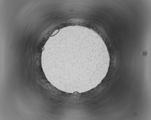 X0000110961016200907311101