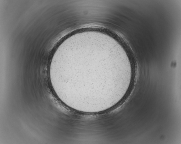 X0000110961017200907311101