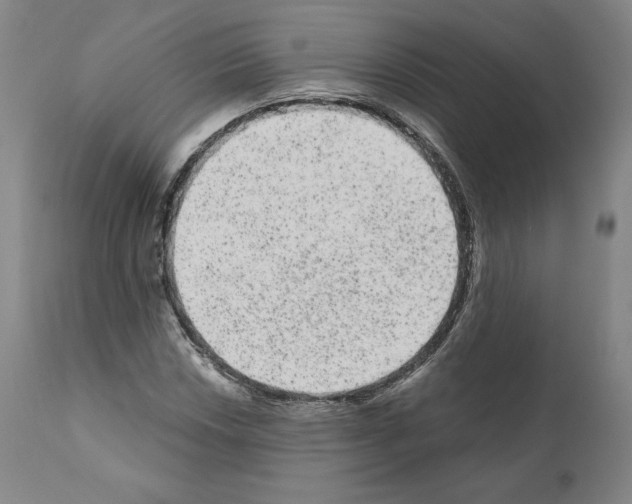 X0000110961018200907311101