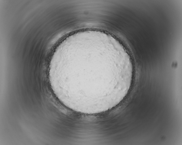 X0000110961019200907311101