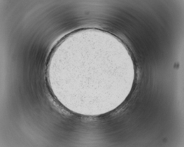 X0000110961020200907311101