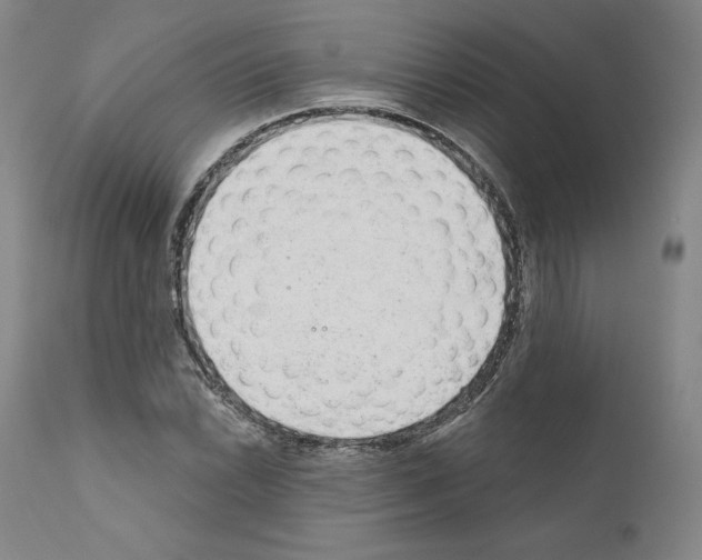 X0000110961022200907311101