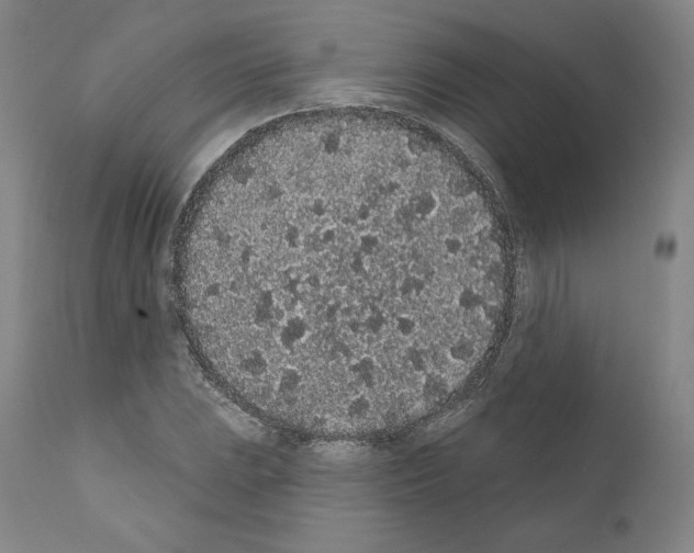 X0000110961023200907311101