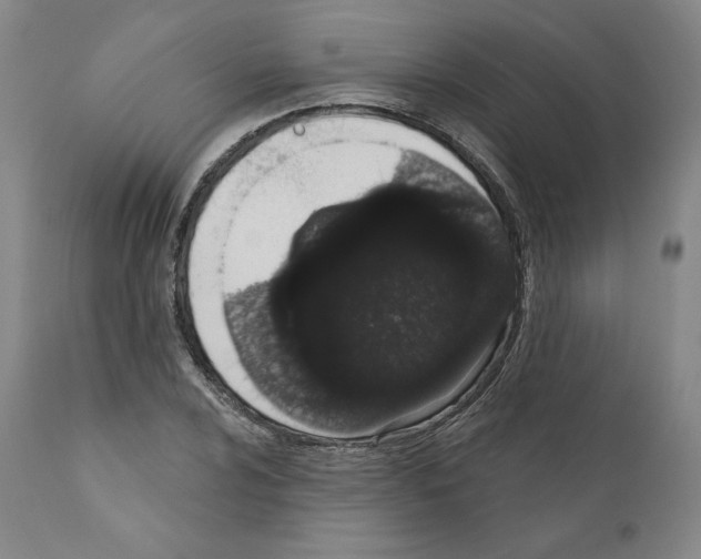 X0000110961024200907311101