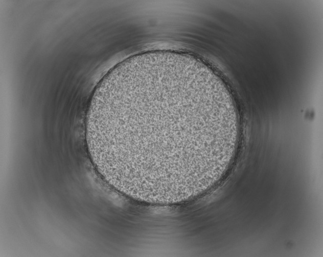 X0000110961025200907311101