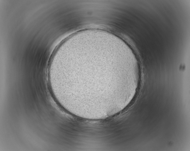 X0000110961028200907311101